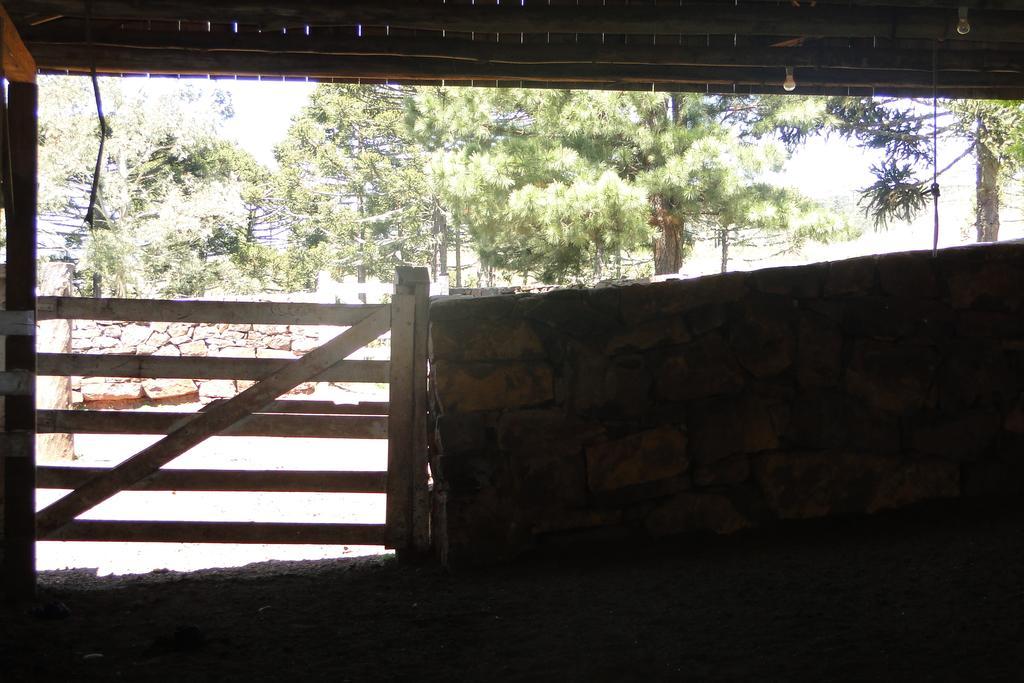 Fazenda Boutique Terra Do Gelo Farm stay Bom Jardim da Serra
