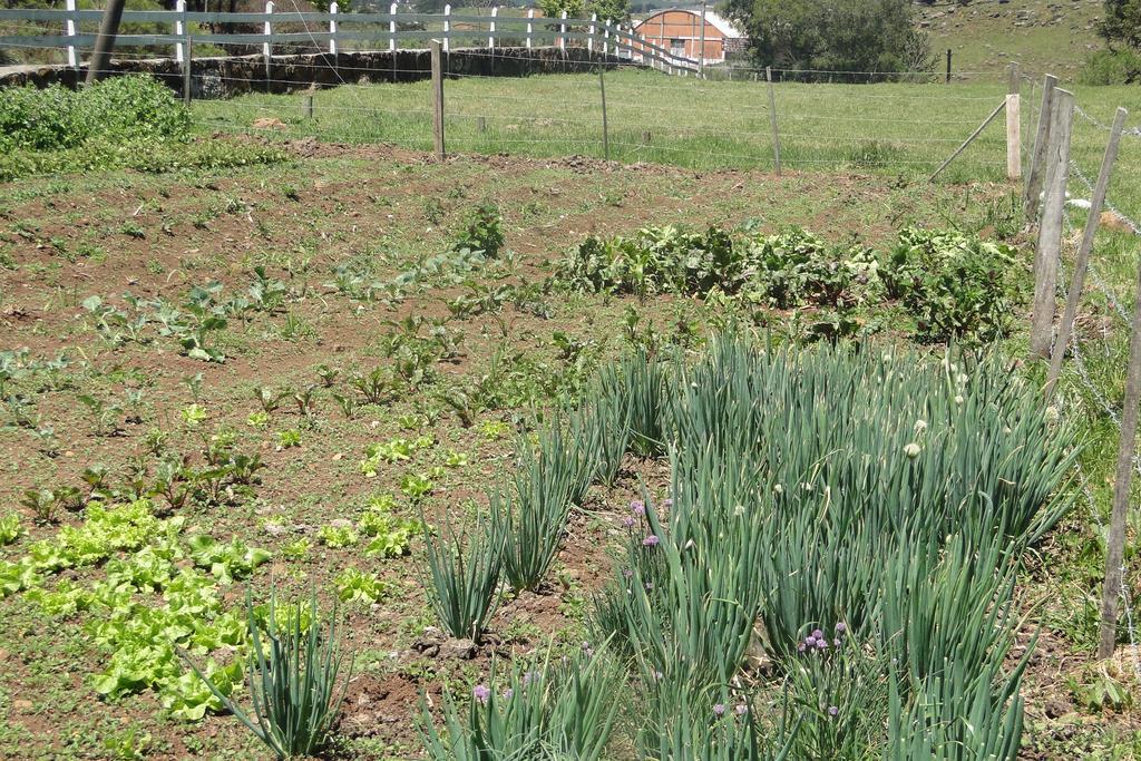 Farm stay Fazenda Boutique Terra Do Gelo Bom Jardim da Serra