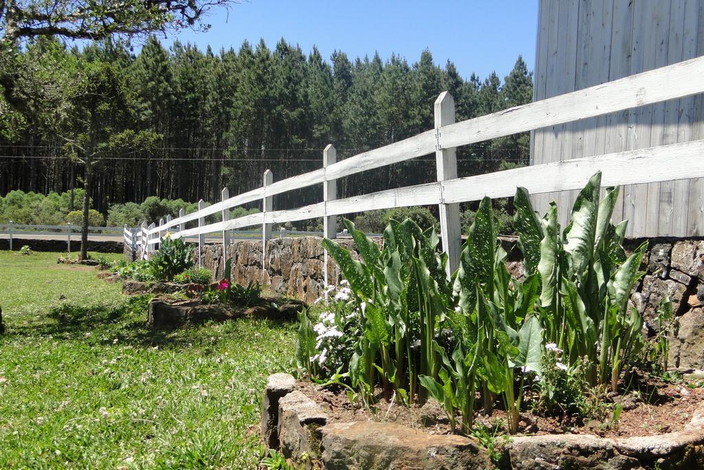 Farm stay Fazenda Boutique Terra Do Gelo Bom Jardim da Serra